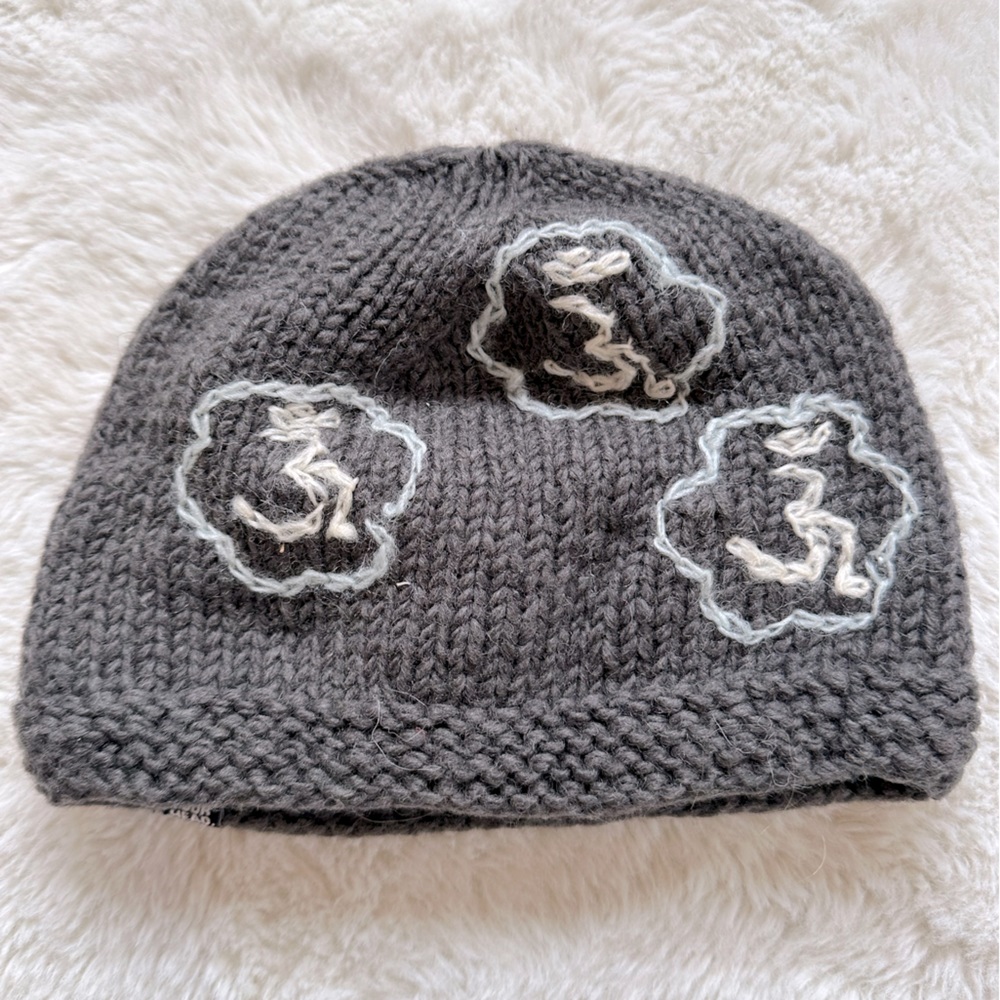 Woman’s small Use Your Head gray wool hat with fleece lining
